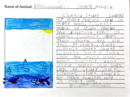 Sample student work where student has drawn a picture of sharks in the ocean, the sun and the sky on the left side of the page and written a paragraph on the right side of the page.